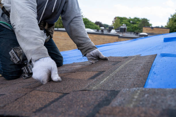 Best Flat Roof Repair Services  in Pine Hills, FL