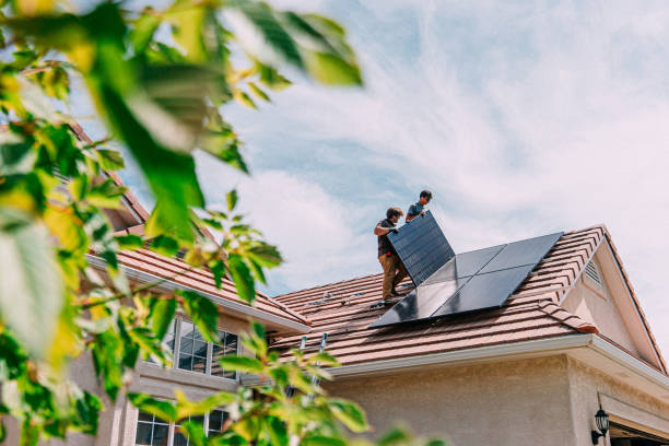 Roof Gutter Cleaning in Pine Hills, FL
